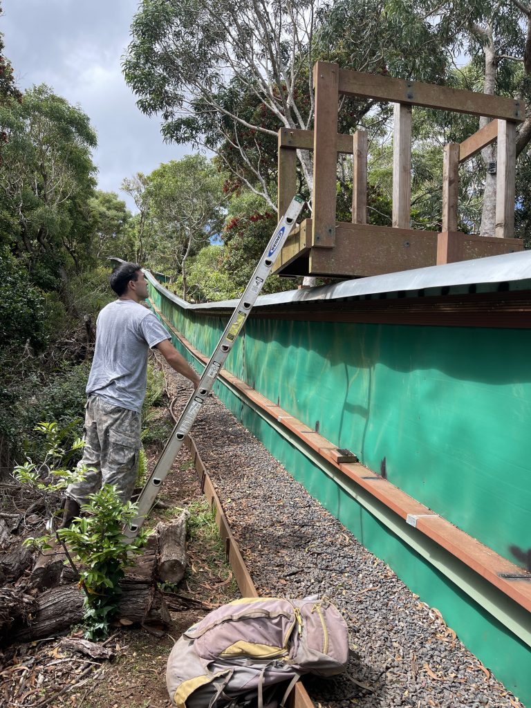 Renovated pahole predator proof exclosure.