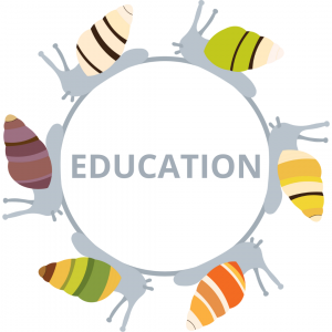 A graphic of various species of tree snails crawling in a circle linking to the "Learn More" page. 