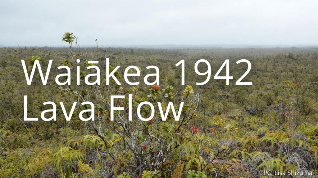 An image of Waiākea 1942 Lava Flow NAR