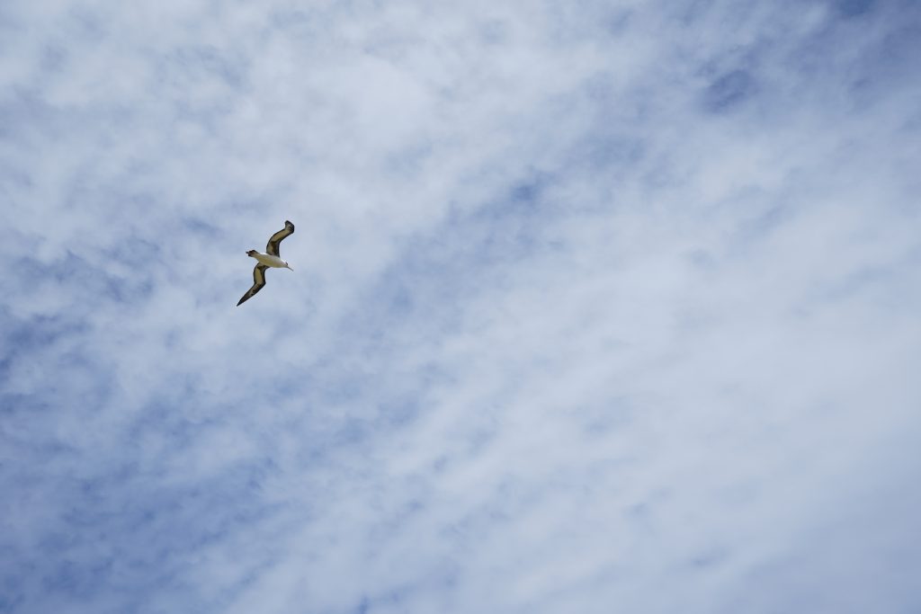 An image of Kaʻena Point