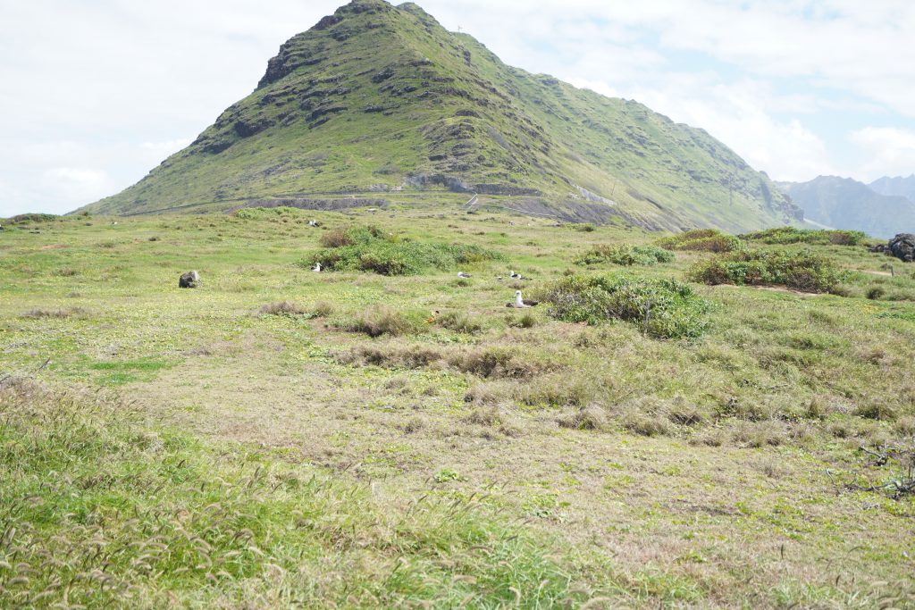 An image of Kaʻena Point
