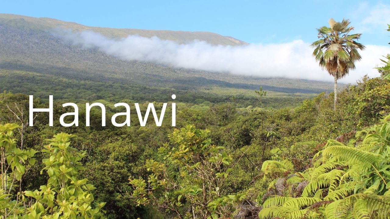 An image of Hanawi NAR