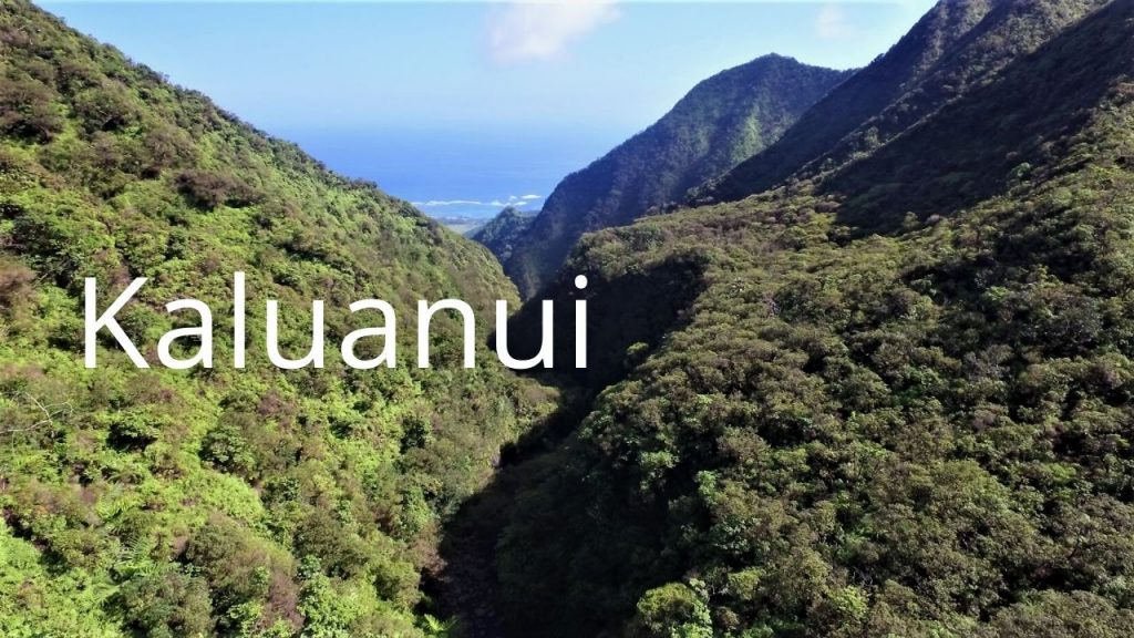 An image of Kaluanui linking to more info