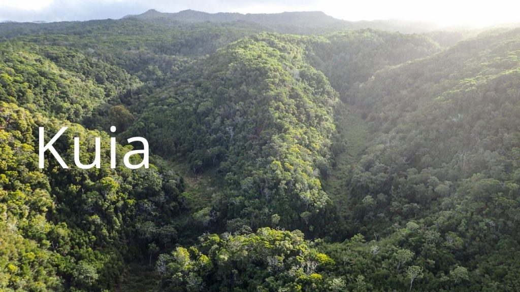 An image of Kuia NAR