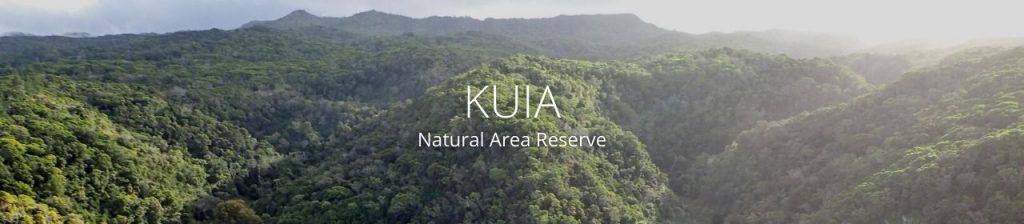 An image of Kuia NAR