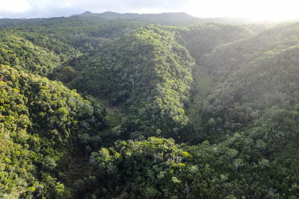 An image of Kuia NAR