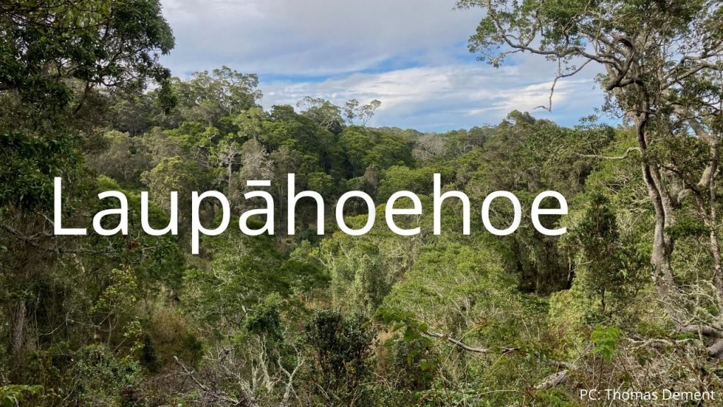 An image of Laupāhoehoe NAR