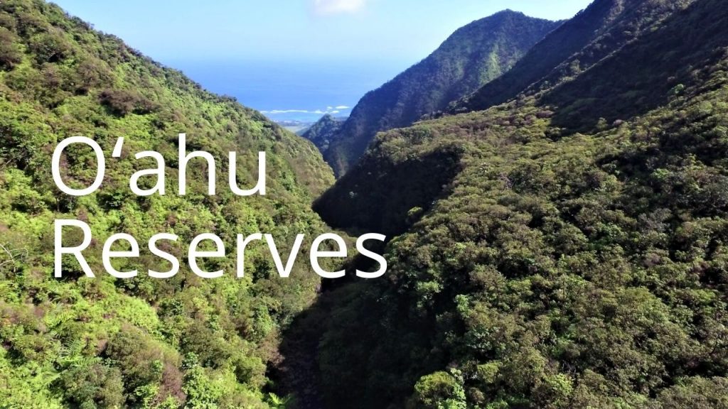 An image of Kaluanui NAR linking to Oʻahu  reserves