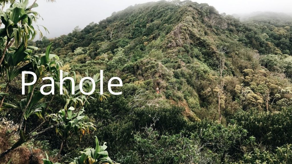 An image of Pahole linking to more info