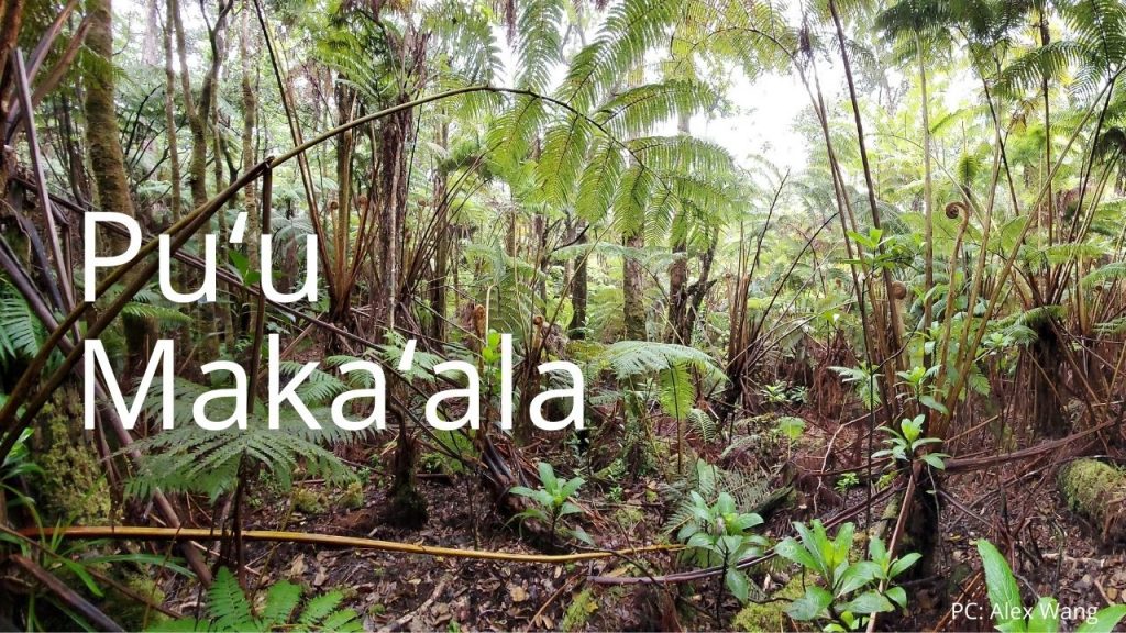 An image of Puʻu Makaʻala NAR