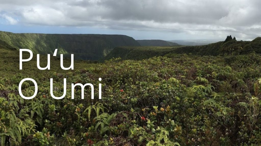 An image of Puʻu O Umi NAR