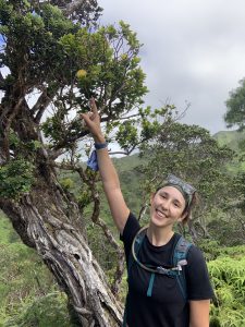 An image of the SEPP captive rearing laboratory manager, Genevieve Blanchet.