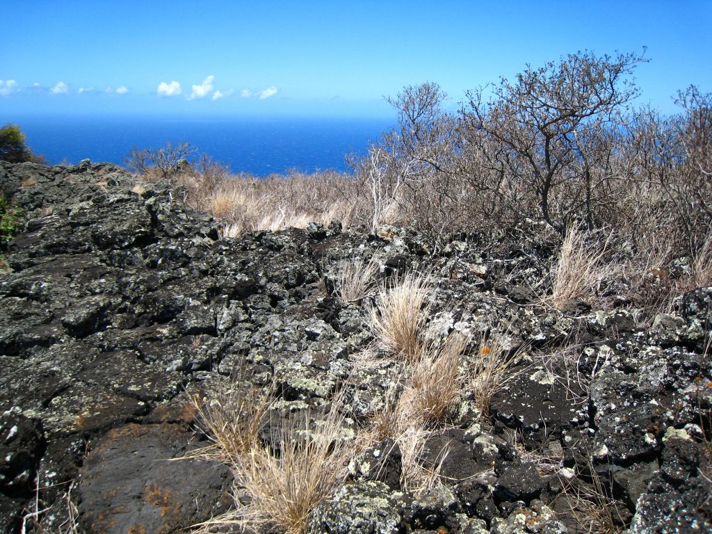 Kanaio NAR to lua 'alala