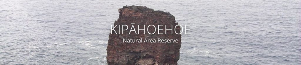 image of rock in ocean