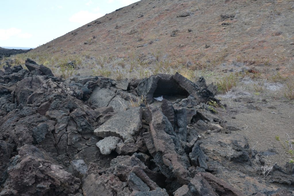 koa'e'ula, red-tailed tropicbird, Phaethon rubricauda