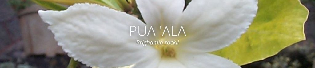 cover image of Pua `ala