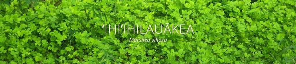 cover image of ʻihiʻihilauākea