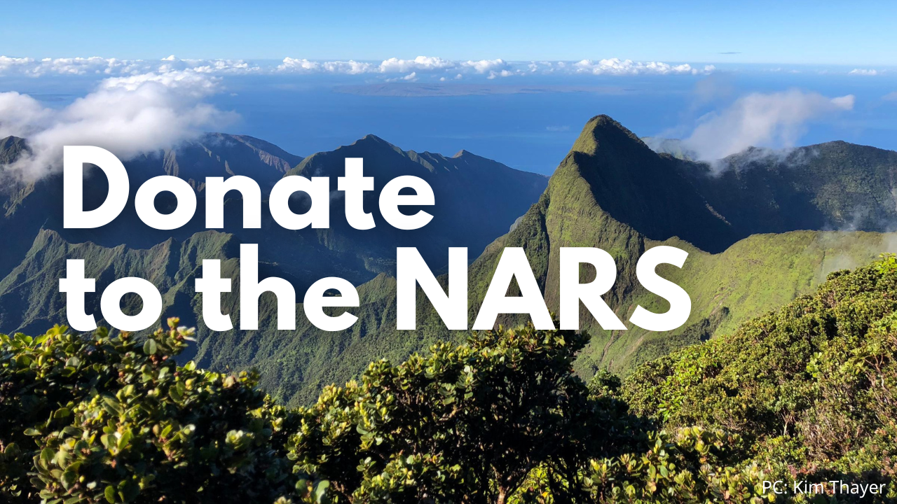 An image of West Maui Natural Area Reserve