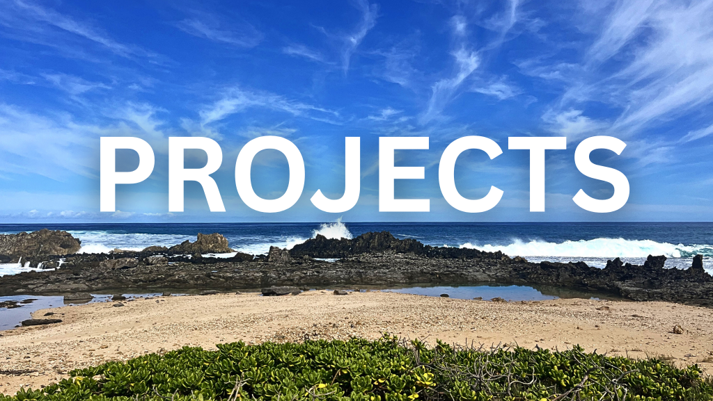 Projects, picture of seashore