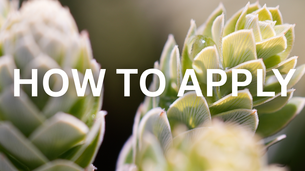 How to apply, picture of plant with dew drop