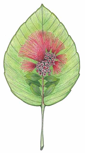 ForestLegacylogoportrait