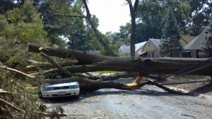 Orr Mansfield Rd Silver Spring MD 7