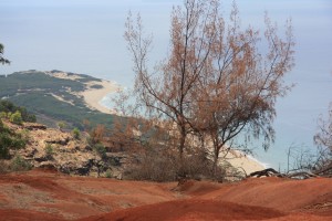Scorched trees above Polihale State Park