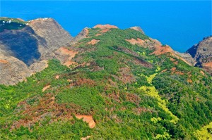 Burned areas on Miloli`i Ridge