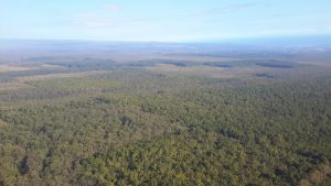 Waiākea Timber Management Area
