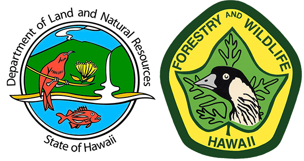 Division of Forestry and Wildlife: Forestry Program logo