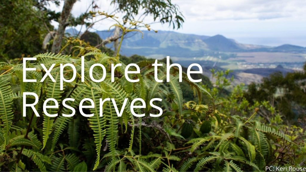 An image of a forest reserve linking to a page to explore the reserves