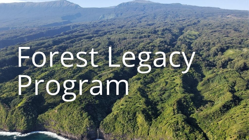 An image of forested valleys linking to info on Forest Legacy Program information