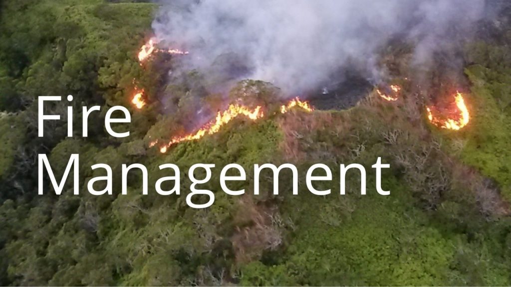 An image and button related to Fire Management