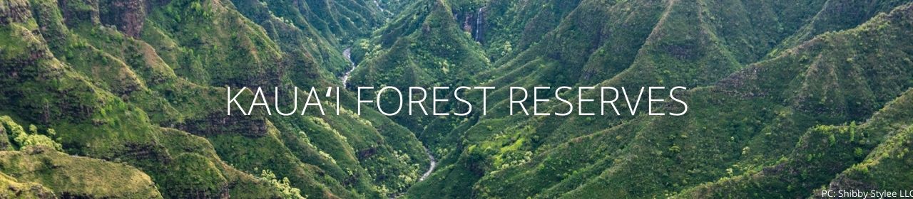 An image of a forested valley with the words KauaivForest Reserves