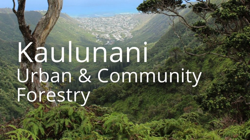 An image of a community beyond a forest linking to Kaulunani Urban and community forestry pages