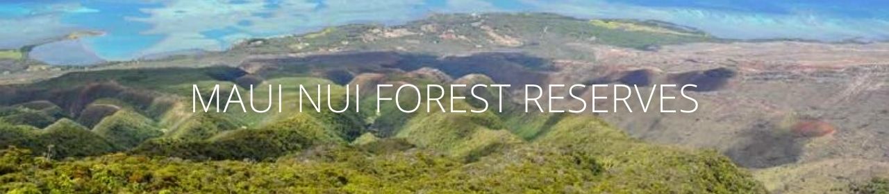 An image of a forest with the words Maui Nui Forest Reserves
