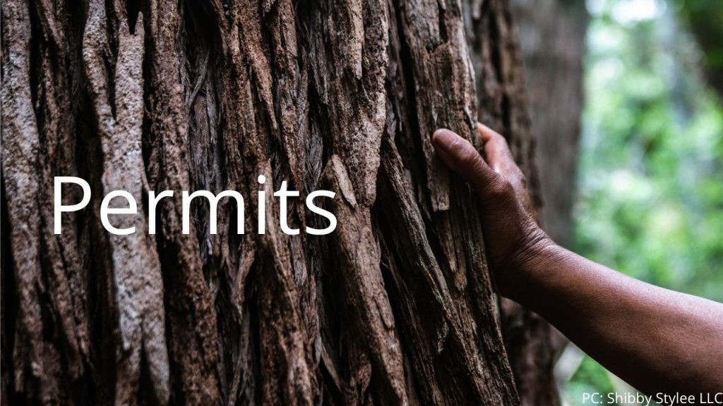 An image of a person touching a tree linking to the permits page