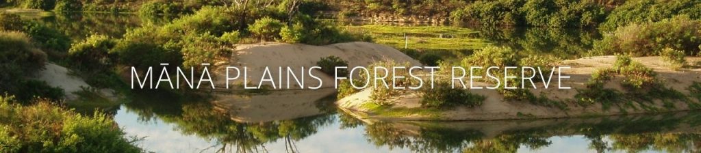 An image of Mānā Plains