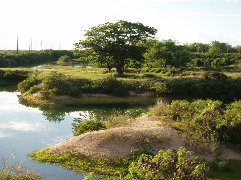 An image of Mānā Plains