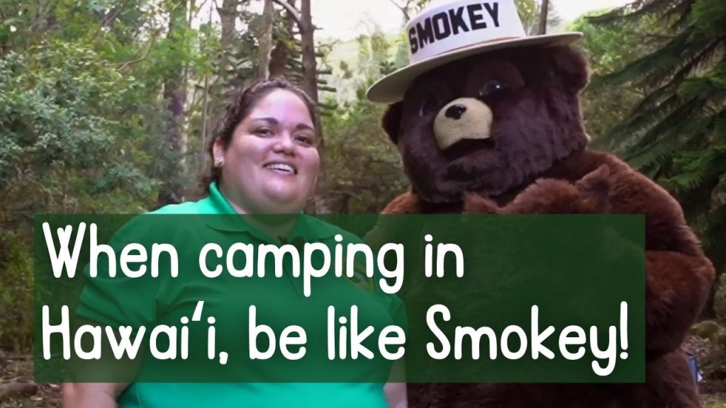 An image of Smokey Bear