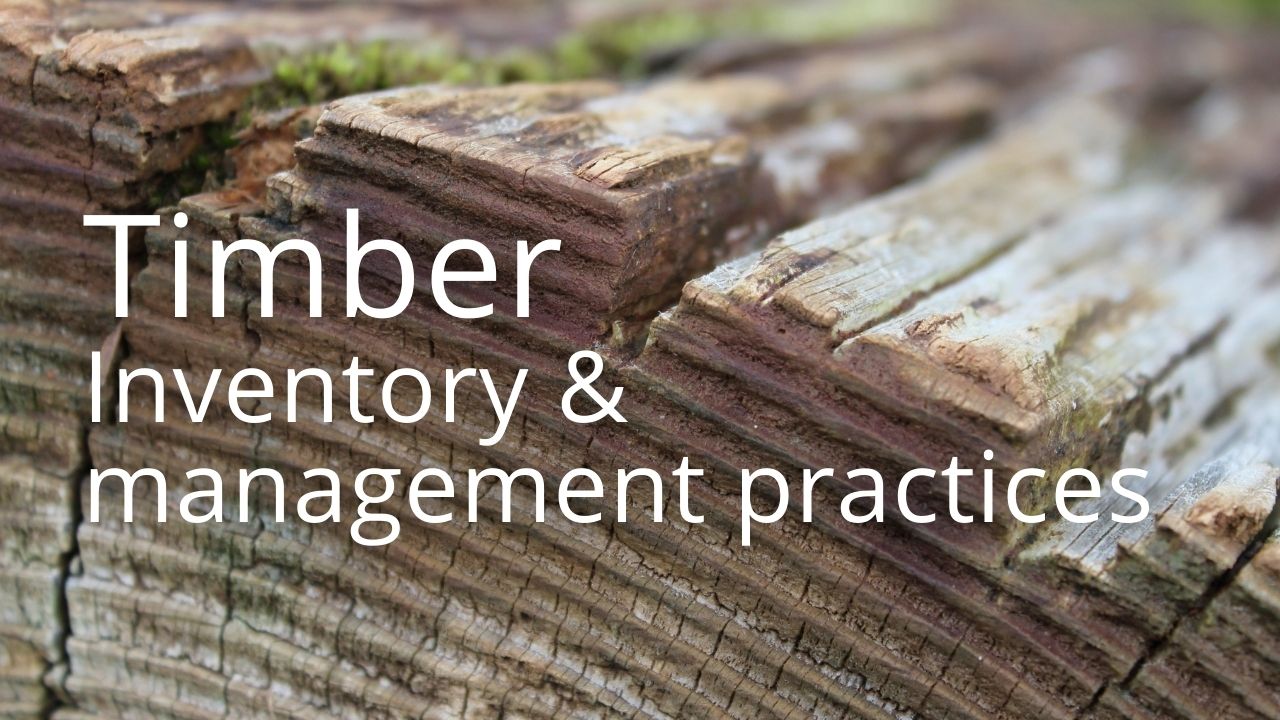 An image of cut wood