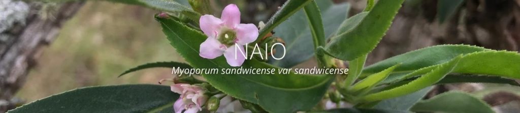 cover image of naio