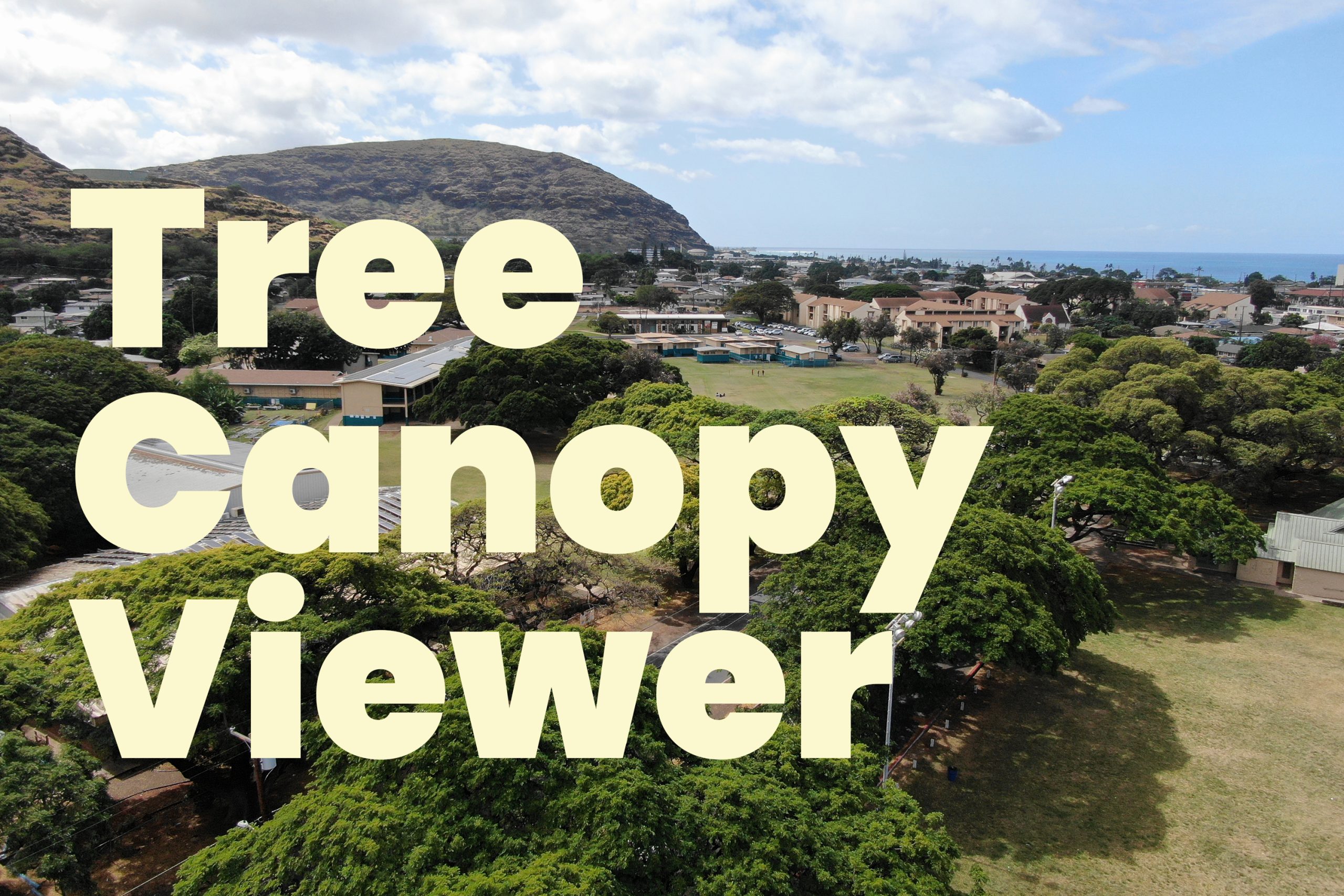 Tree Canopy Viewer Button