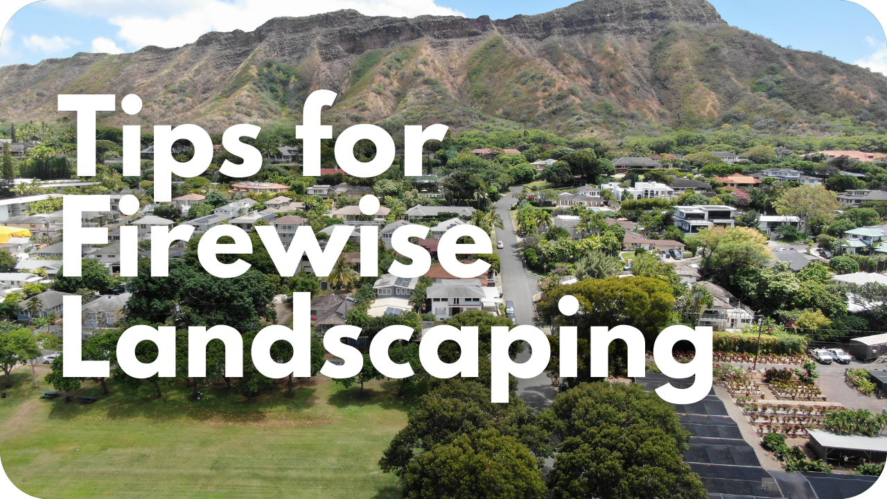 Firewise landscaping