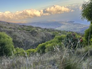 Nakula Natural Area Reserve