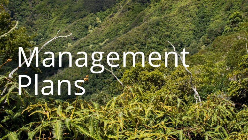 Management Plans