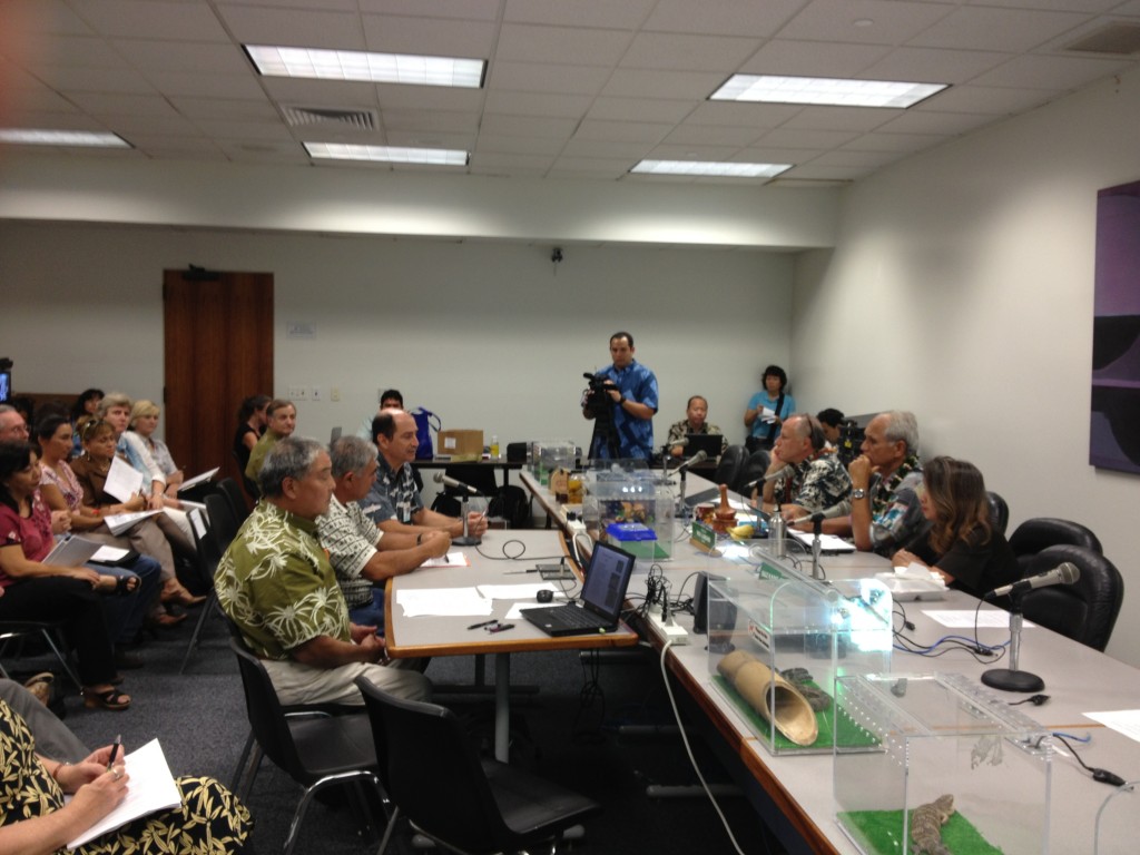 HISC members Russell Kokubun, William J. Aila Jr., and Gary Gill address the Senate Committee on Energy and Environment