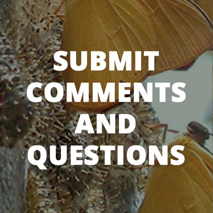 Link to submit comments and questions page