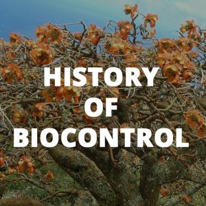 Button link to learn about the history of biocontrol