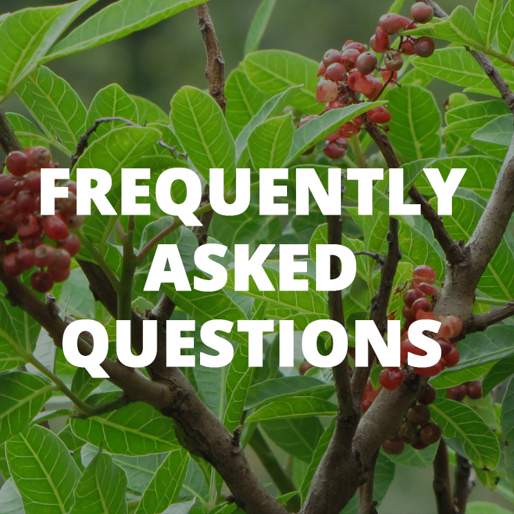 Button link to read about frequently asked questions